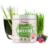 Přírodní produkt Blendea Super Greens lesní směs BIO 90 g