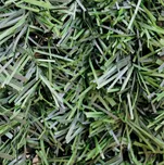 Umělý živý plot; 1500mm; 3m