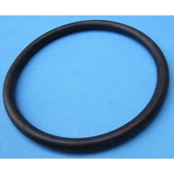 Postřikovač Těsnění pro postřikovač ARES, O kroužek nádoby, DAL DEGAN