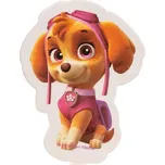 Dekora Tlapková patrola 2D dortová…