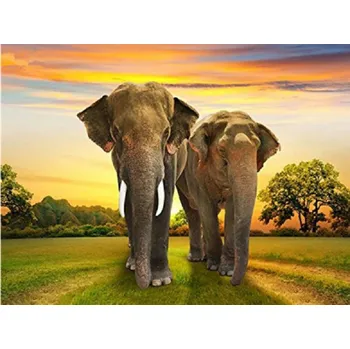 Diamantové malování HUACAN DIAMOND PAINTING - DIAMANTOVÁ MOZAIKA - SLON 11