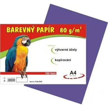 Barevný papír Stepa Papír barevný A4 80 g 100 ks