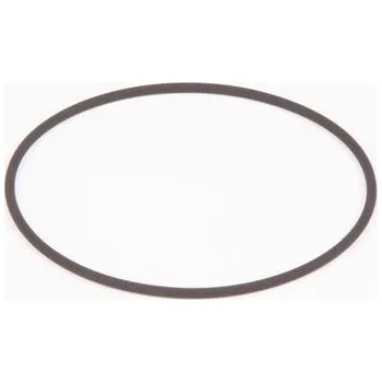 Těsnící kroužek BOSCH F 01M 100 371