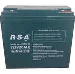 Racceway 6-DZM-20 12V 20Ah