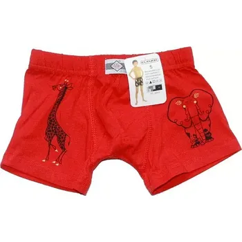 Dětské trenýrky pro děti 60523 - 773/236 vel. 134140