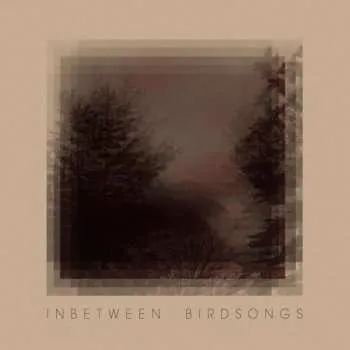Zahraniční hudba CD Matthias Gusset: Inbetween Birdsongs 2021