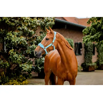 HORSEWARE Ohlávka polstrovaná Grooming Signature Horseware, blue haze PONY