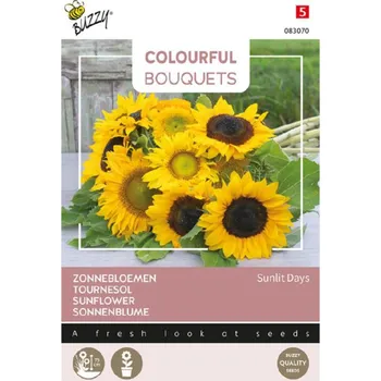 Semeno Semena - COLOURFUL ´SUNLIT DAYS´