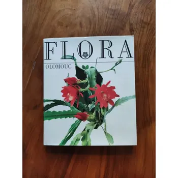 Umění RUDOLF SMAHEL - Flora Olomouc (Flora Olomouc)
