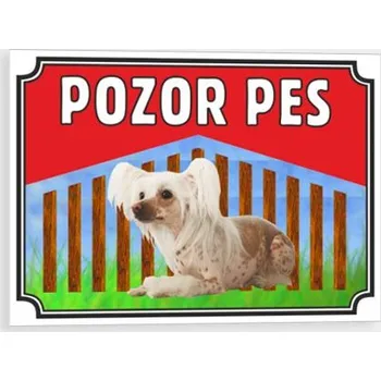 Pozor pes - Čínský naháč Plast 210 x 148 mm (A5) tl. 0.5 mm - Kód: 10343