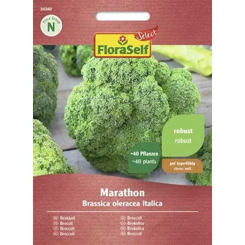 Semeno Brokolice Marathon FloraSelf Select F1 hybrid
