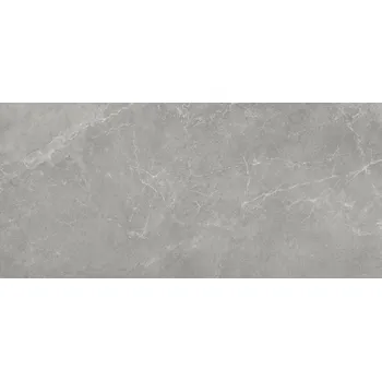 Dlažba ARGENTA STORM 21463 120 cm x 260 cm x 0,6 cm šedá 3,12 m2