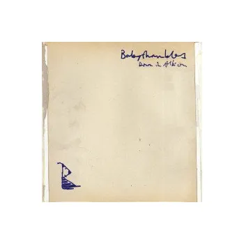 Zahraniční hudba Down In Albion / Vinyl / 2LP - Babyshambles [2 LP]