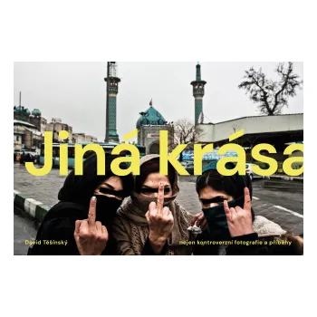 Kniha Jiná krása - David Těšínský