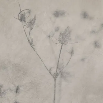 Dlažba GAYA FORES herbal TAHEAL16X16 16,5 cm x 16,5 cm x 0,75 cm mix barev 0,55 m2