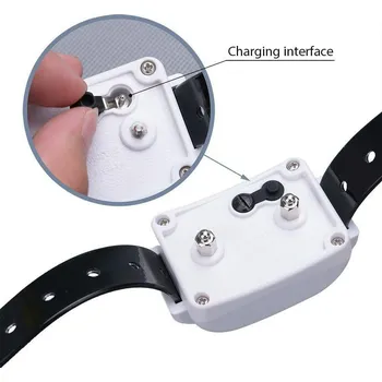 Obojek pro psa Náhradní obojek pro ohradník KD661