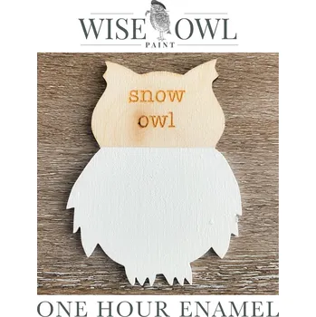 univerzální barva SNOW OWL One Hour Enamel - Wise Owl Paint - barvy pro kuchyně, dveře, obložení