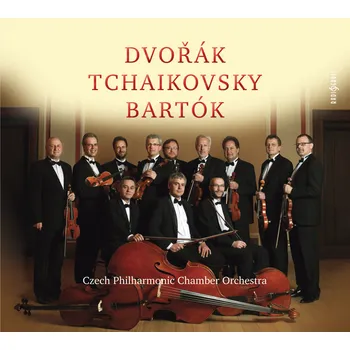Česká hudba Dvořák, Čajkovskij, Bartók / Filharmonický komorní orchestr