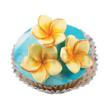 Kuchyňská sůl Oboustranná silikonová forma na cukrovou hmotu ve tvaru květů plumérie - SLK808, 37 mm | SILIKOMART, SugarFlex
