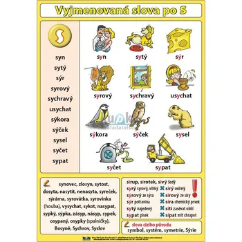 Obraz Vyjmenovaná slova po S XL (100x70 cm)