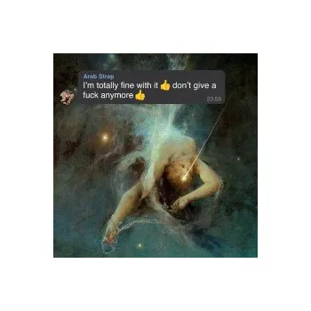 Zahraniční hudba I'm Totally Fine With It Don't Give a Fuck... - Arab Strap [CD]