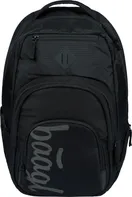 BAAGL Coolmate 35 l