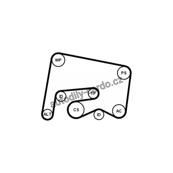 Rozvod motoru Sada drážkového řemene a vodní pumpy CONTINENTAL CTAM 6PK2155WP1