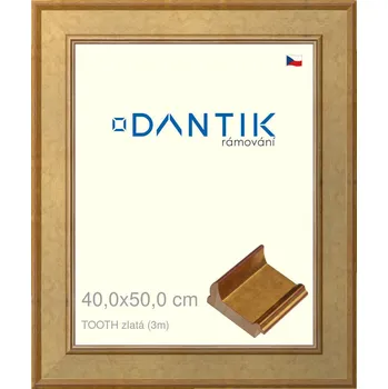 Rám na obraz DANTIK rámeček 40x50 | TOOTH zlatá (Plexi Čiré) (Vyrobeno s láskou u nás v DANTIKU)
