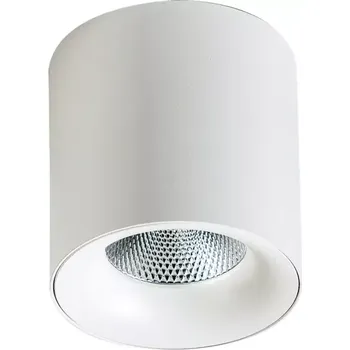 LED bodové světlo Mane 10W 4000K bílé