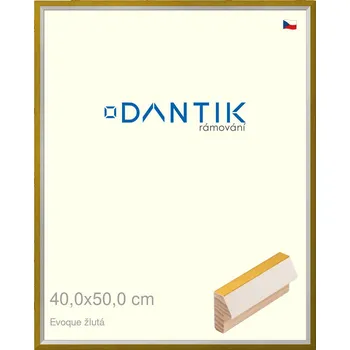 Rám na obraz DANTIK rámeček 40x50 | EVOQUE žlutá (Plexi Čiré) (Vyrobeno s láskou u nás v DANTIKU)