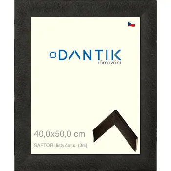 Rám na obraz DANTIK rámeček 40x50 | SARTORI listy čer.s. (Plexi Čiré) (Vyrobeno s láskou u nás v DANTIKU)
