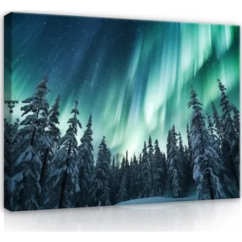 Obraz Postershop Obraz na plátne: Landscape Forest Northern Lights - 100x75 cm