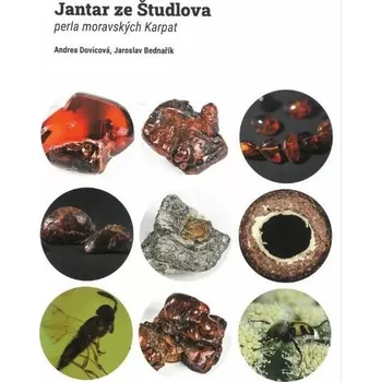 JANTAR ZE ŠTUDLOVA. PERLA MORAVSKÝCH KARPAT