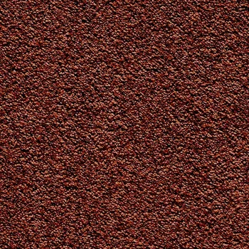 Koberec Koberec CHARISMA 6959 šíře 4m