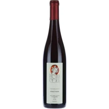 Víno Rulandské modré - Pinot Noir - pozdní sběr ročník 2016 - Regina Coeli 0.75 l