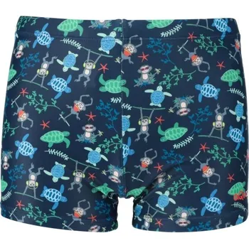 Chlapecké oblečení Chlapecké plavky AQUOS FAJER 164/170 Tmavě modrá, Zelená