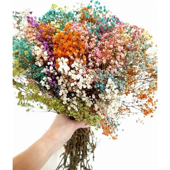 umělá květina Nevěstin závoj/stabilizovaná Gypsophila svazek/kytice duhová 160g