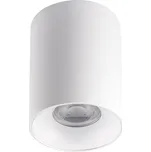Kanlux 27569 - Stropní svítidlo RITI 1xGU10/25W/230V bílá