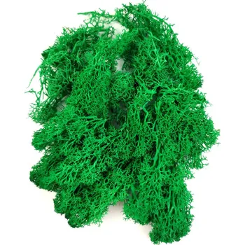 Stabilizovaný / preparovaný mech (lišejník) do pryskyřice zelený 20 g Barva: Modrozelená