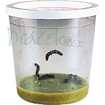 Desková hra Náhradní sada 3-5 housenek - certifikát elektronický (emailem)