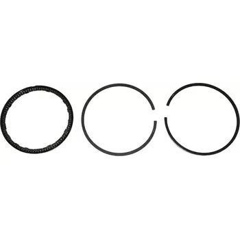 Píst motoru Sada pístních kroužků CITROEN BX XANTIA ZX PEUGEOT 205 305 309 405 406 (CITROEN 064091 PEUGEOT 0640.91)