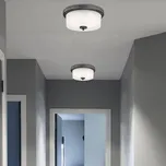 Stropní svítidlo Westinghouse Cedric hliníková starožitná, bílá 2 x 40 W - Doprava zdarma