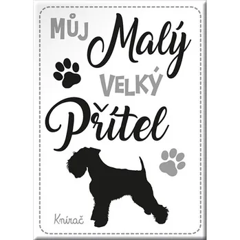 Dekorativní magnet Nekupto Magnet se psem - Knírač