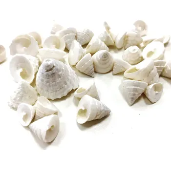 Mušle bílé perleťové - 50 g