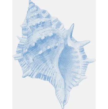 Plakát Plakát, Obraz - One Blue Conch, Jolly and Dash