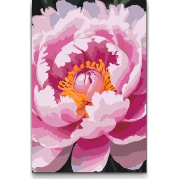 Malování podle čísel - Květ pivoňky Velikost: 20x30cm, Rámování: Pouze srolované plátno