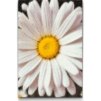 Diamantové malování Diamantové malování - Květ sedmikrásky Velikost: 20x30cm, Rámování: Pouze srolované plátno, Diamanty: Kulaté