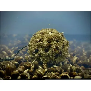 Boilies LK Baits Nutrigo Balanc Particle Hemp Kelp 200ml, 24 mm