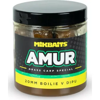 Boilies MIKBAITS Amur range - Amur 20mm boilie v dipu 250ml