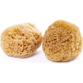 Mořská houba Karibská 12-13cm Caribbean Sun